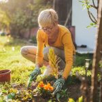 Co najlepiej pić dla kobiet po 50. roku życia dla