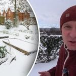 Rozpoczął się mróz: ogrodnik powiedział, co należy zrobić w ogrodzie i ogrodzie warzywnym Rozpoczął się mróz: ogrodnik powiedział, co należy zrobić w ogrodzie