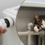 Sekret sprytnych hydraulików: sztuczka z baterią natychmiast oszczędza ciepło